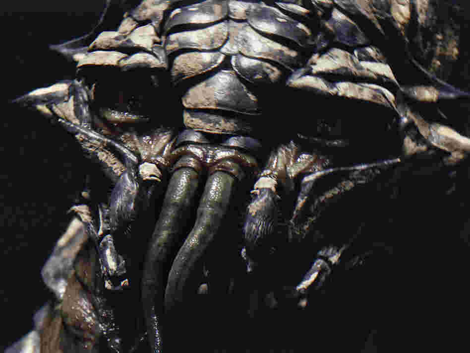 An alien in 'District 9'