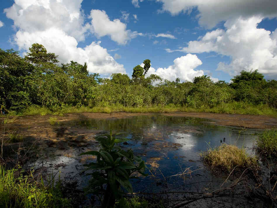 A lake of oil in Ecuador