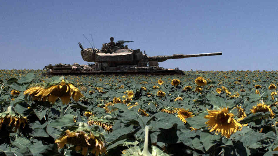 Tank Among Sunflowers Tank Among Sunflowers
