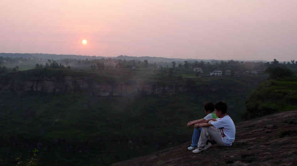 Zhang Qin, Zhang Yang