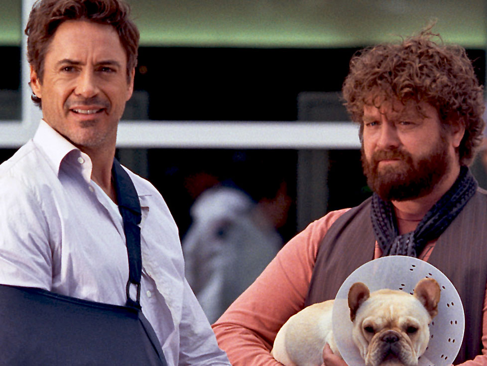 Robert Downey, Jr. and Zach Galifianakis