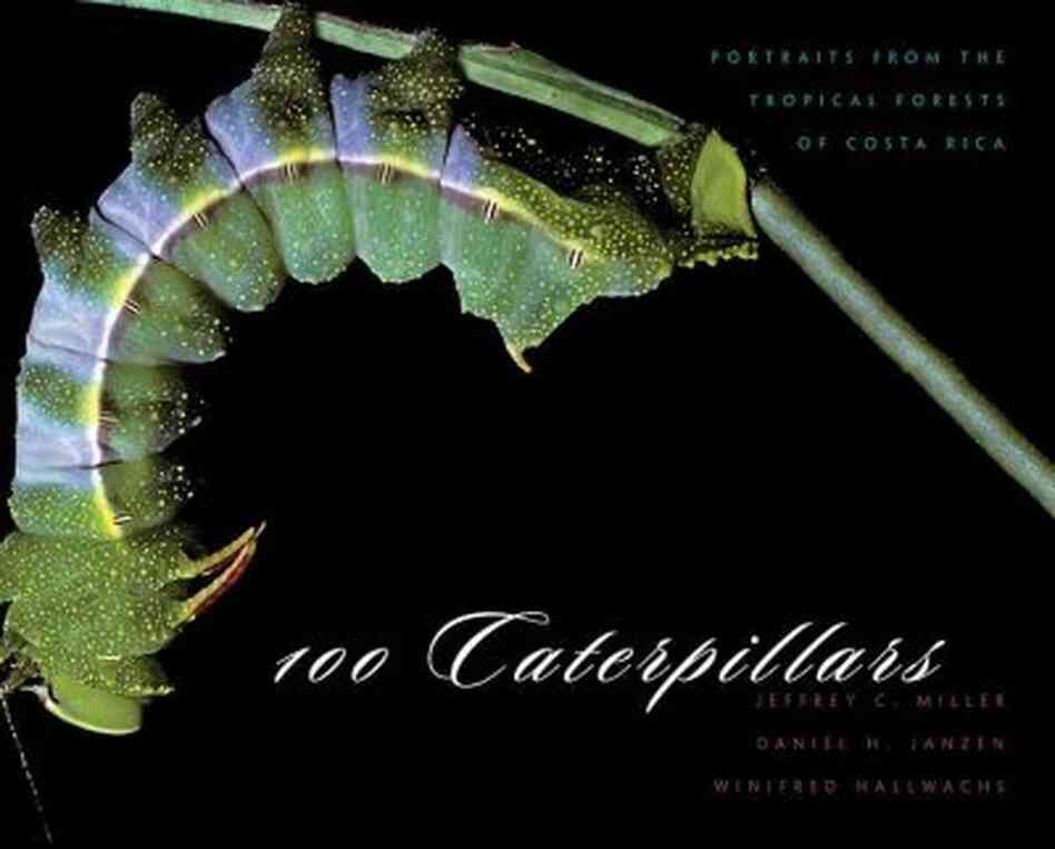 100 Caterpillars 100 Caterpillars