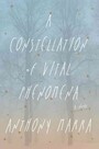 A Constellation of Vital Phenomena A Constellation of Vital Phenomena