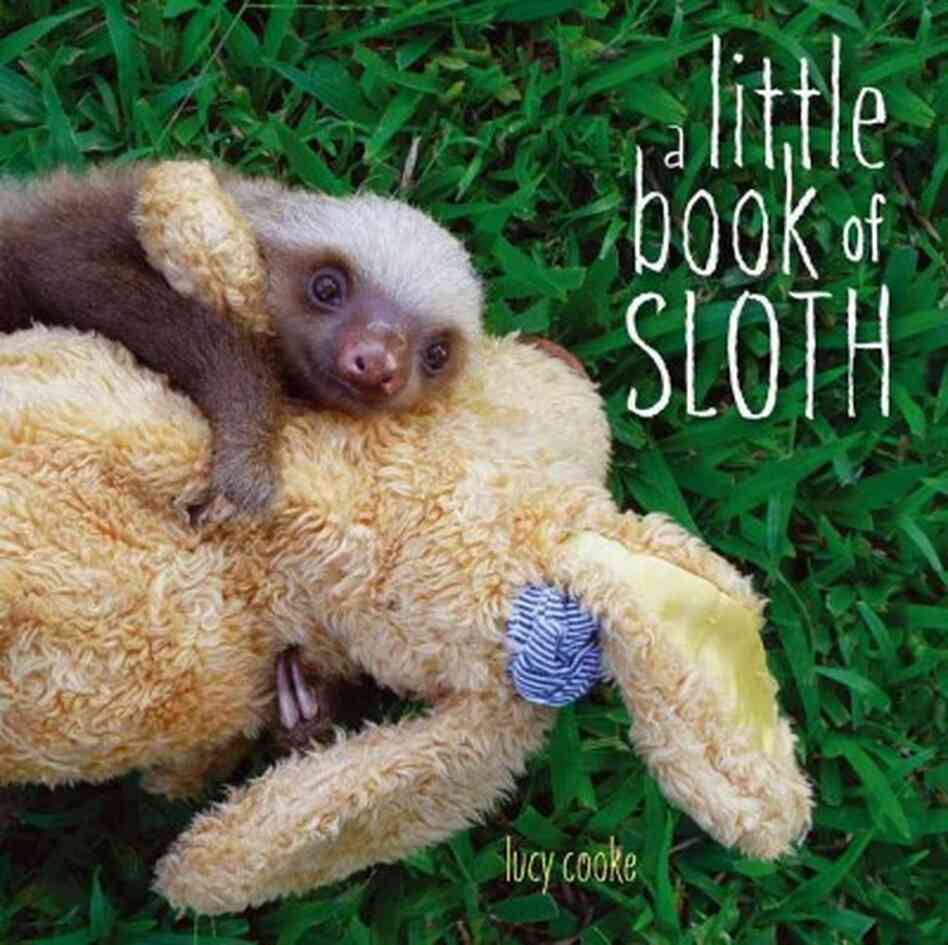 A Little Book of Sloth A Little Book of Sloth