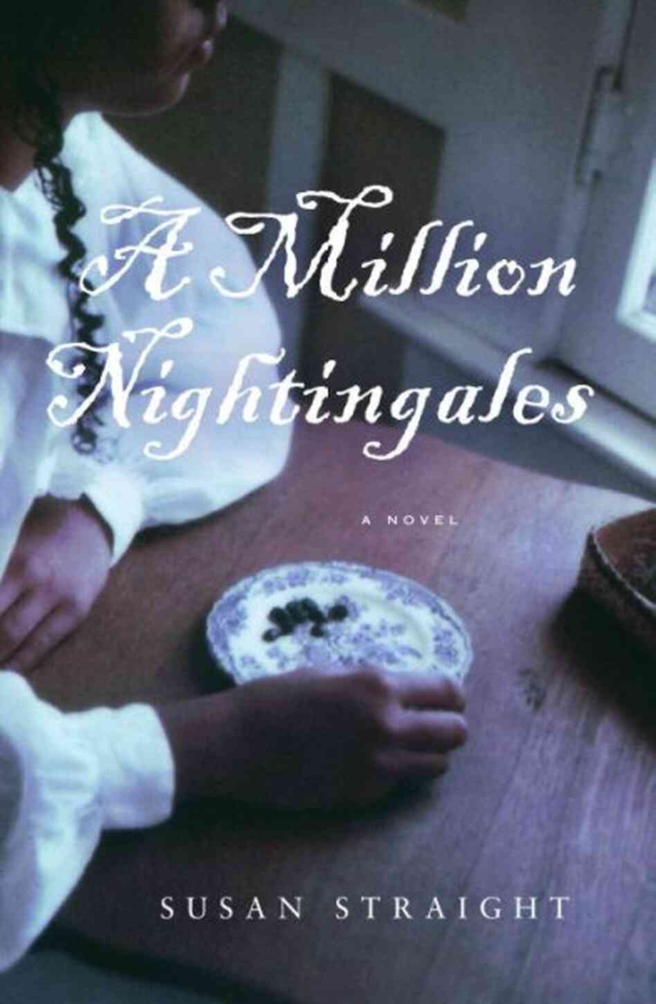 A Million Nightingales A Million Nightingales