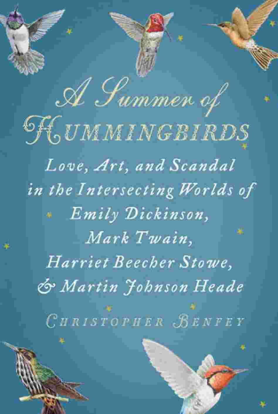 A Summer of Hummingbirds