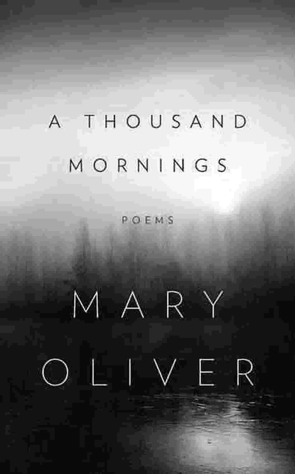 A Thousand Mornings A Thousand Mornings
