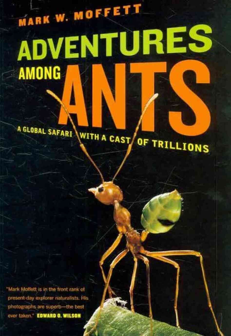 Adventures Among Ants