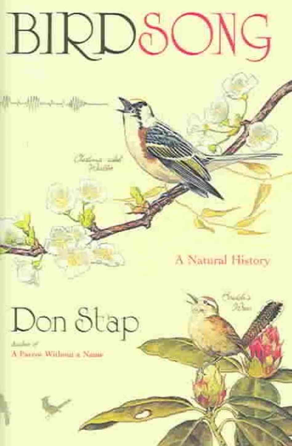 Birdsong Birdsong