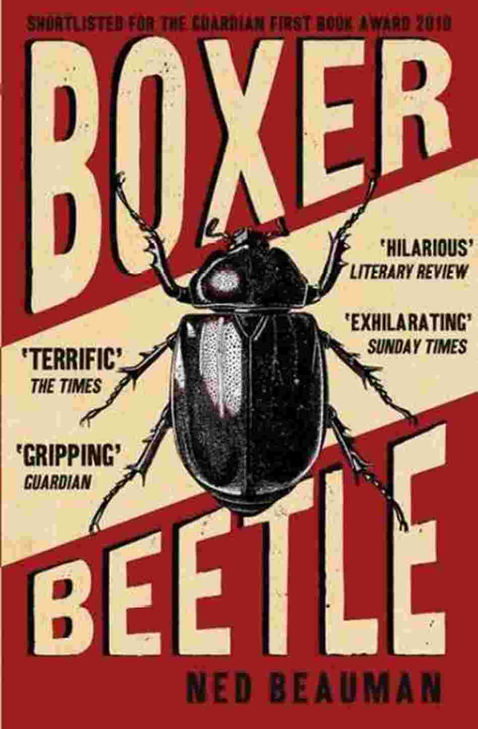 Boxer, Beetle Boxer, Beetle