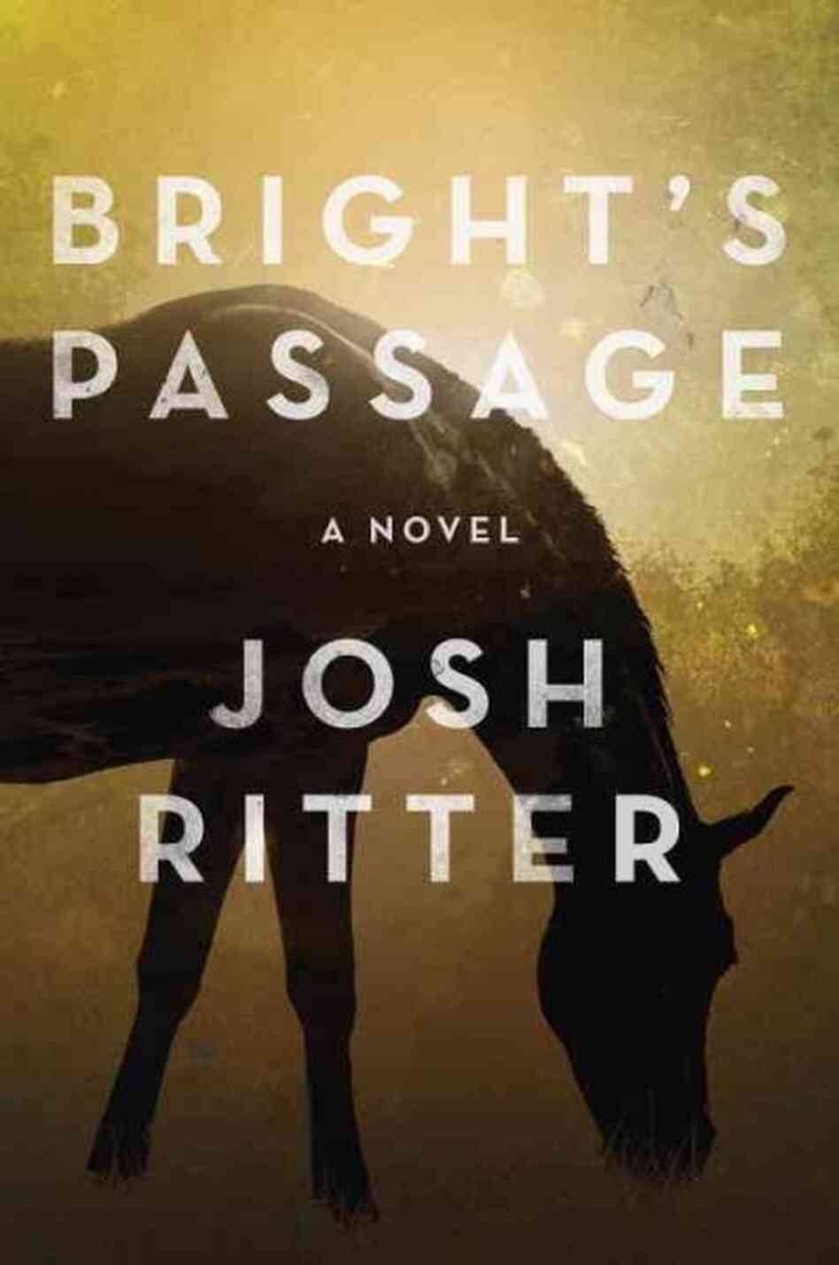 Bright's Passage Bright's Passage