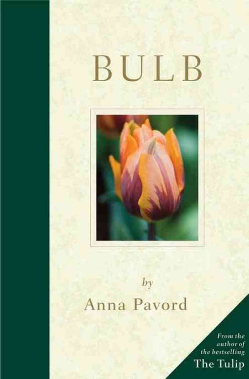 Bulb Bulb