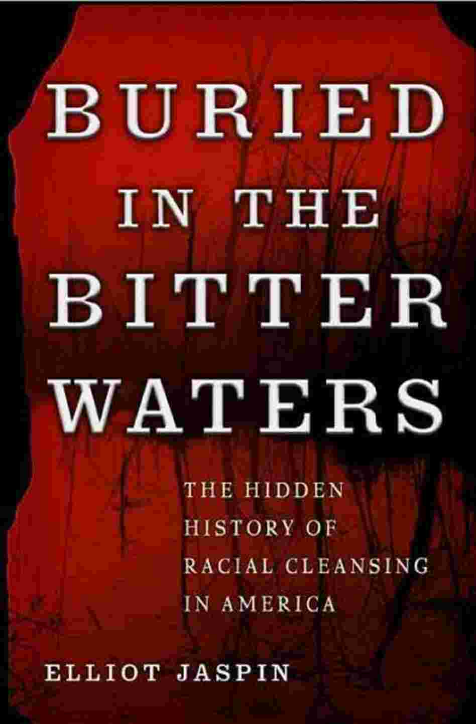 Buried in the Bitter Waters Buried in the Bitter Waters
