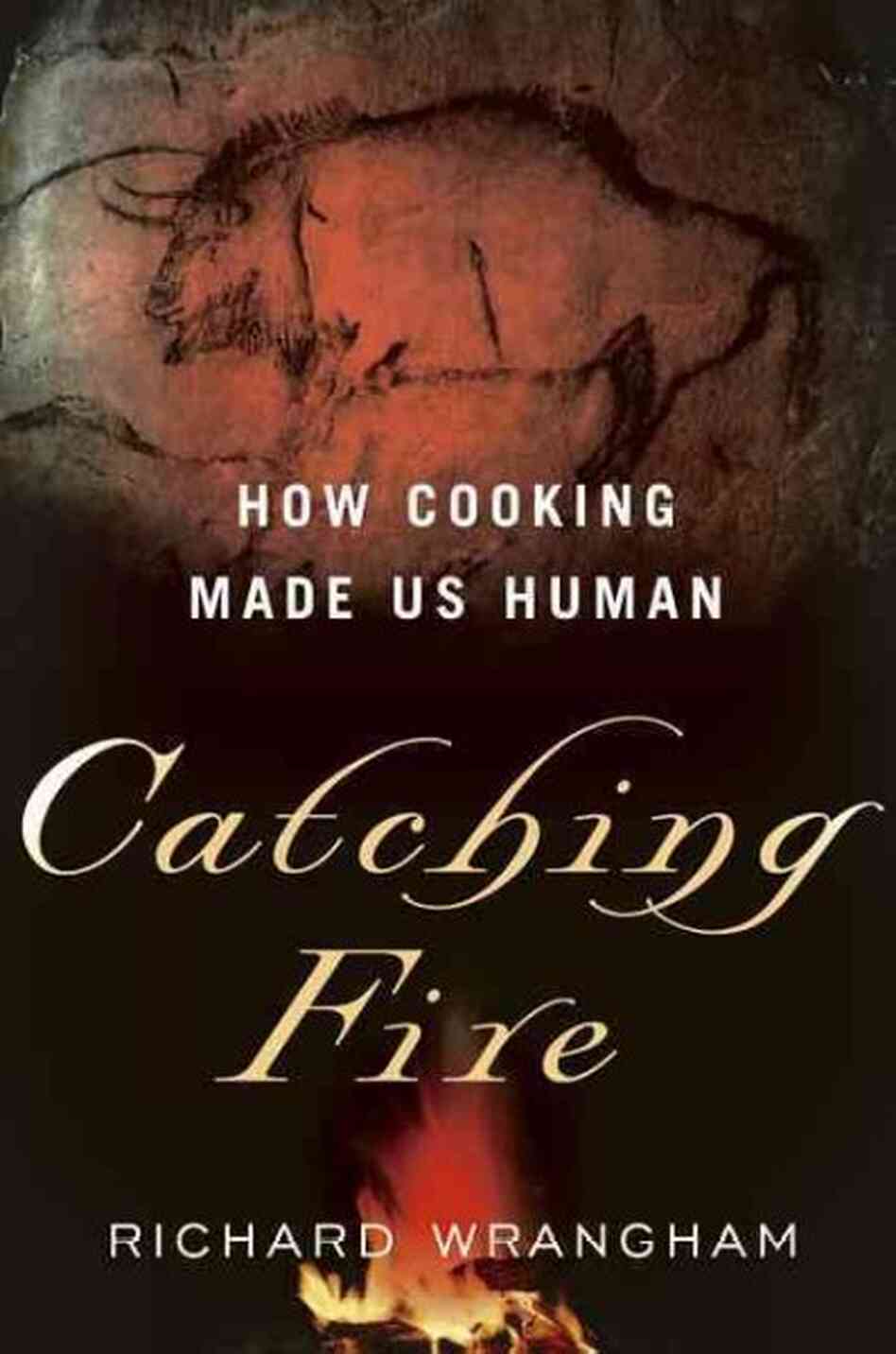 Catching Fire Catching Fire