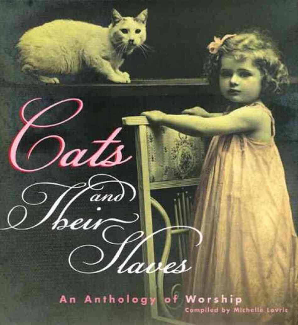Cats And Their Slaves