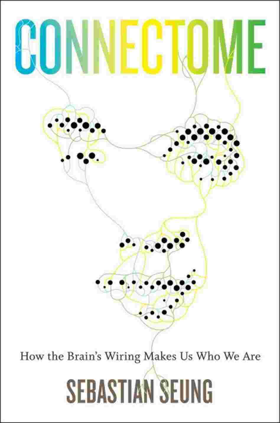Connectome Connectome