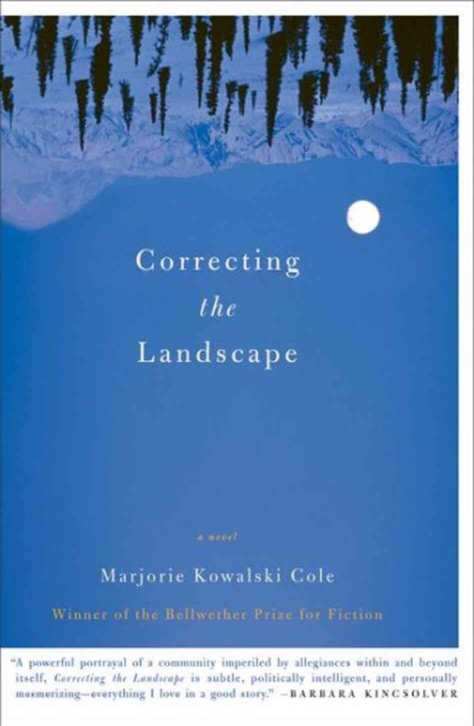 Correcting the Landscape Correcting the Landscape