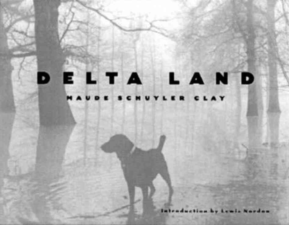 Delta Land Delta Land