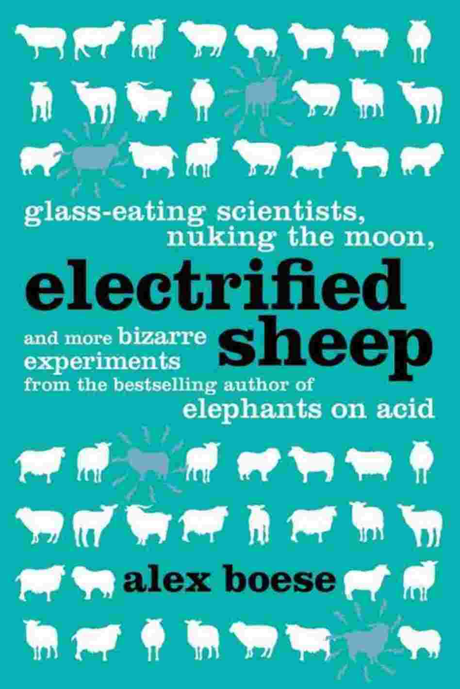 Electrified Sheep Electrified Sheep