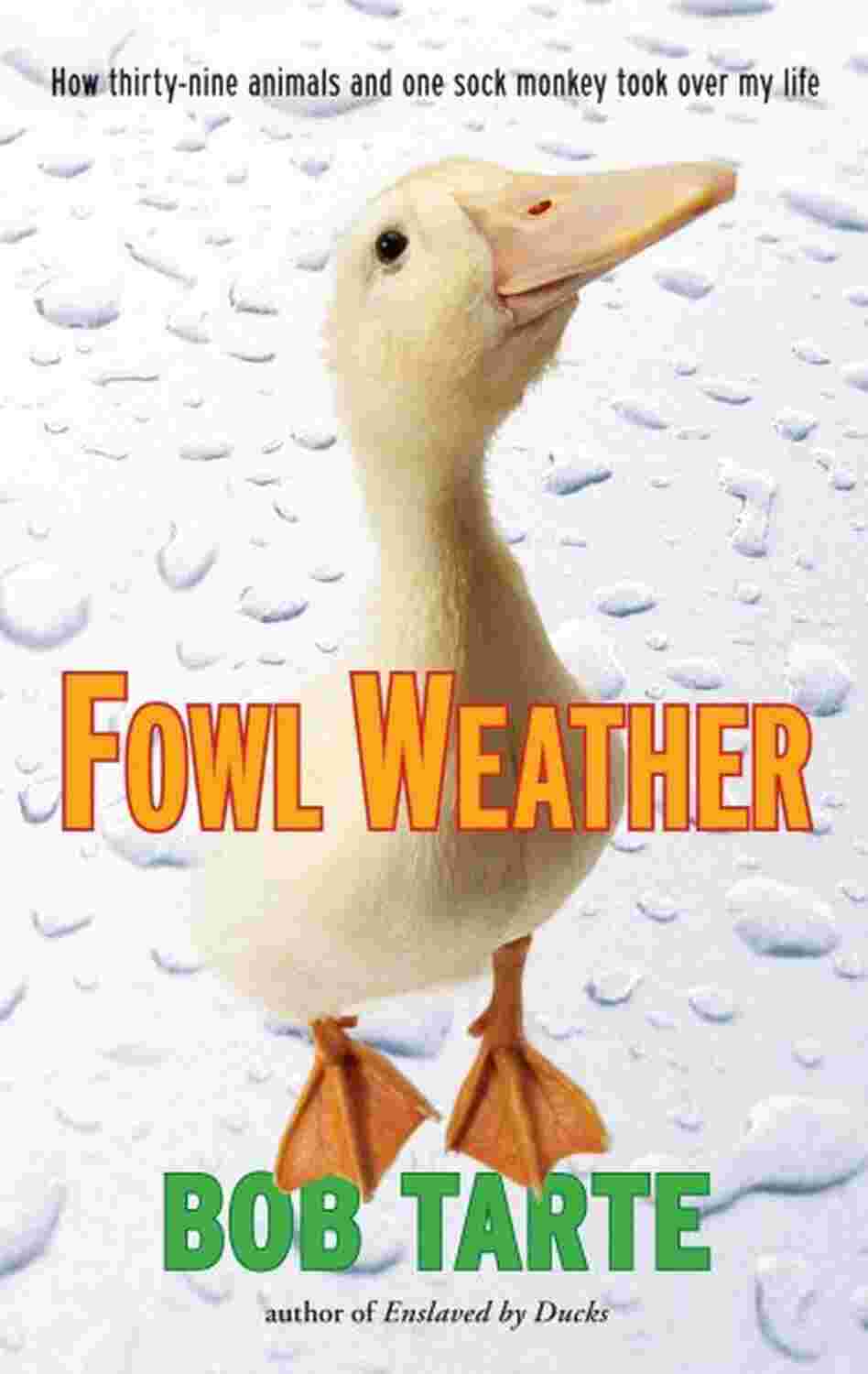 Fowl Weather Fowl Weather