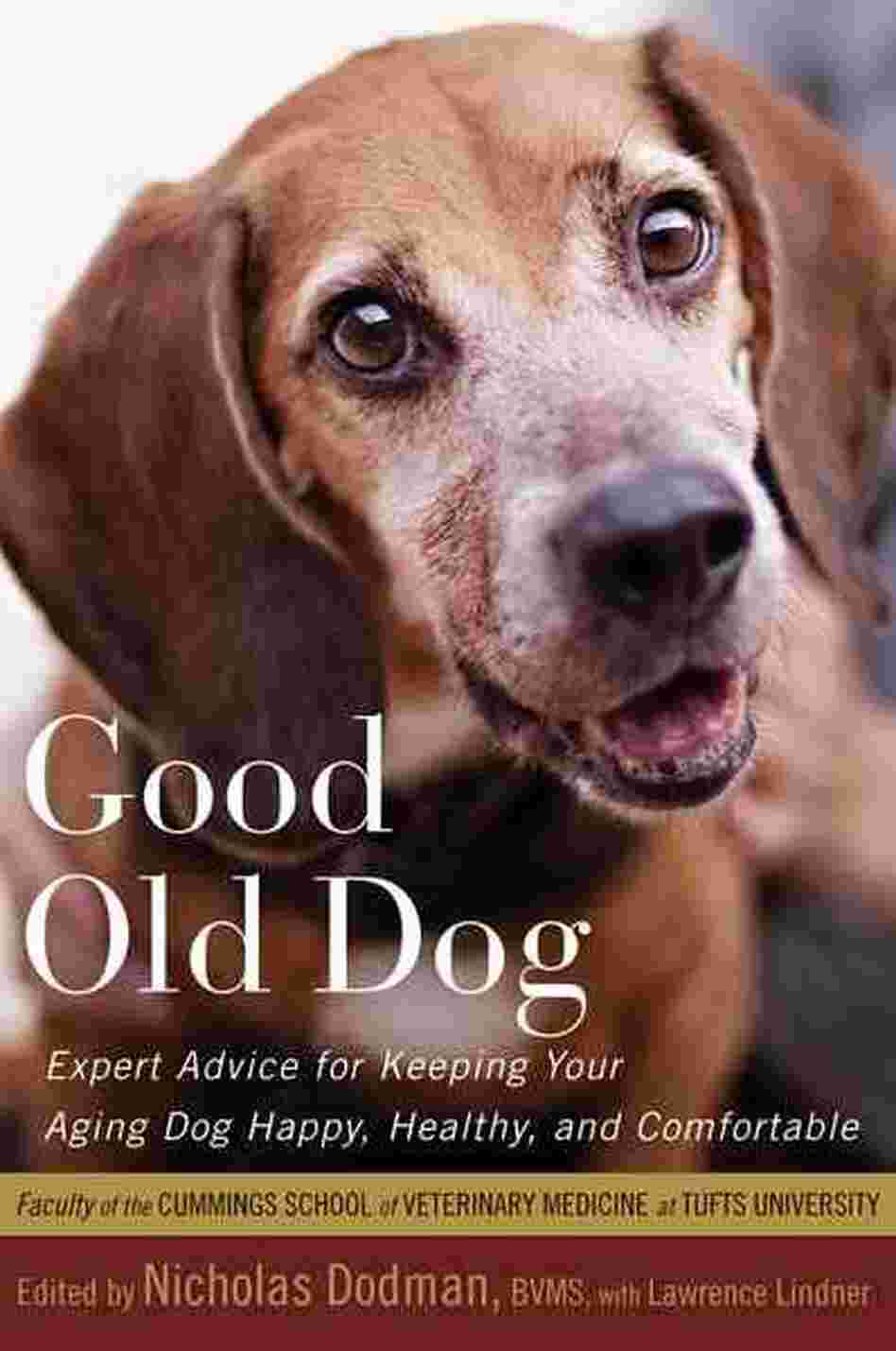 Good Old Dog Good Old Dog