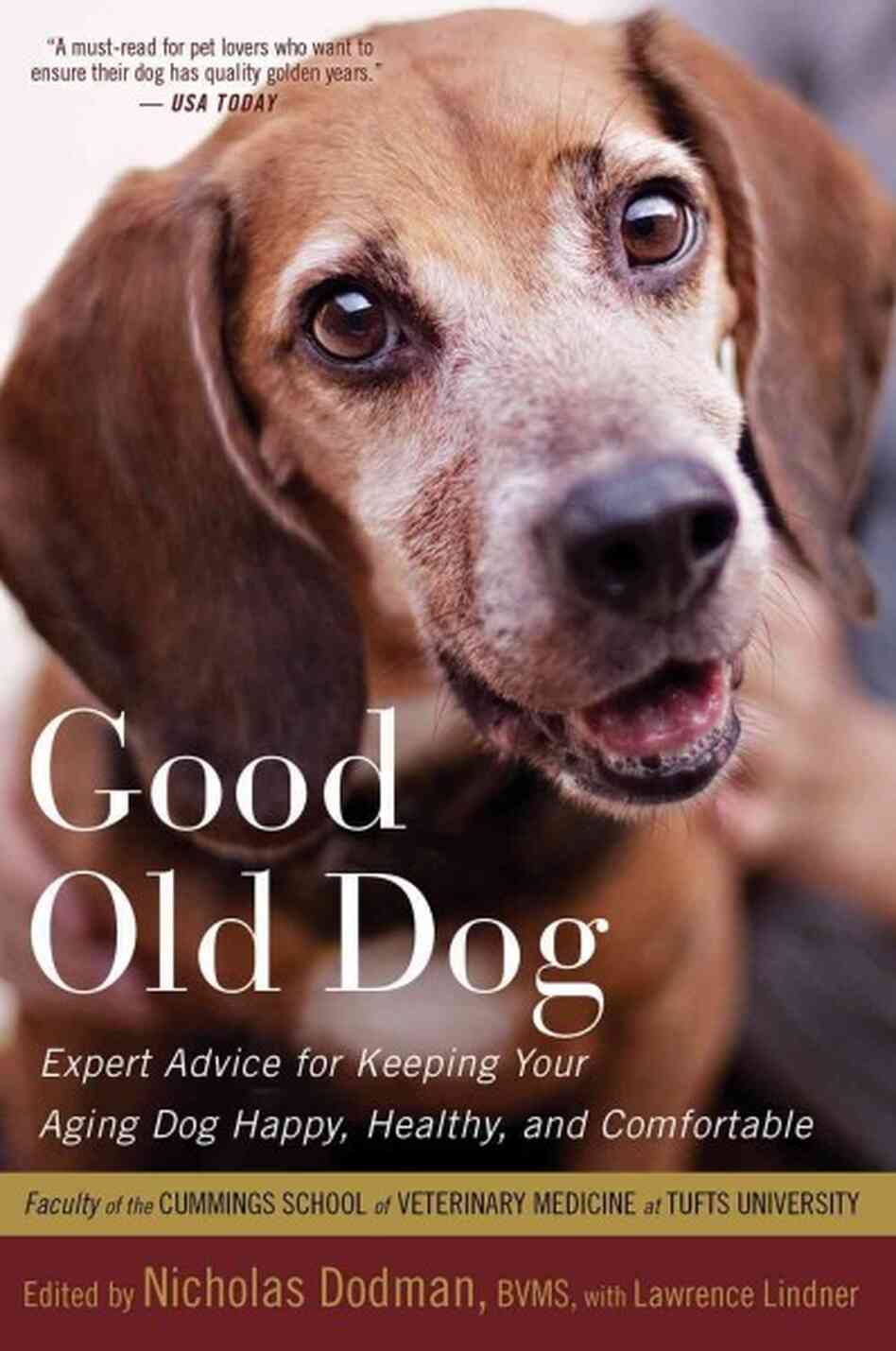 Good Old Dog Good Old Dog