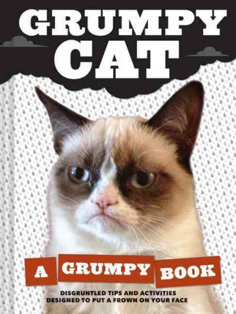 grumpy-cat-npr