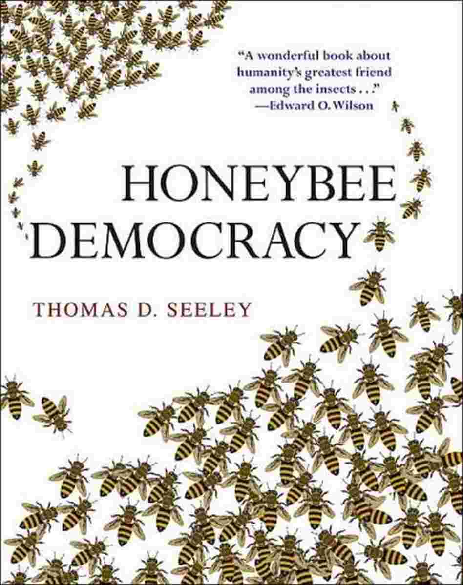 Honeybee Democracy Honeybee Democracy