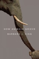 How Animals Grieve How Animals Grieve