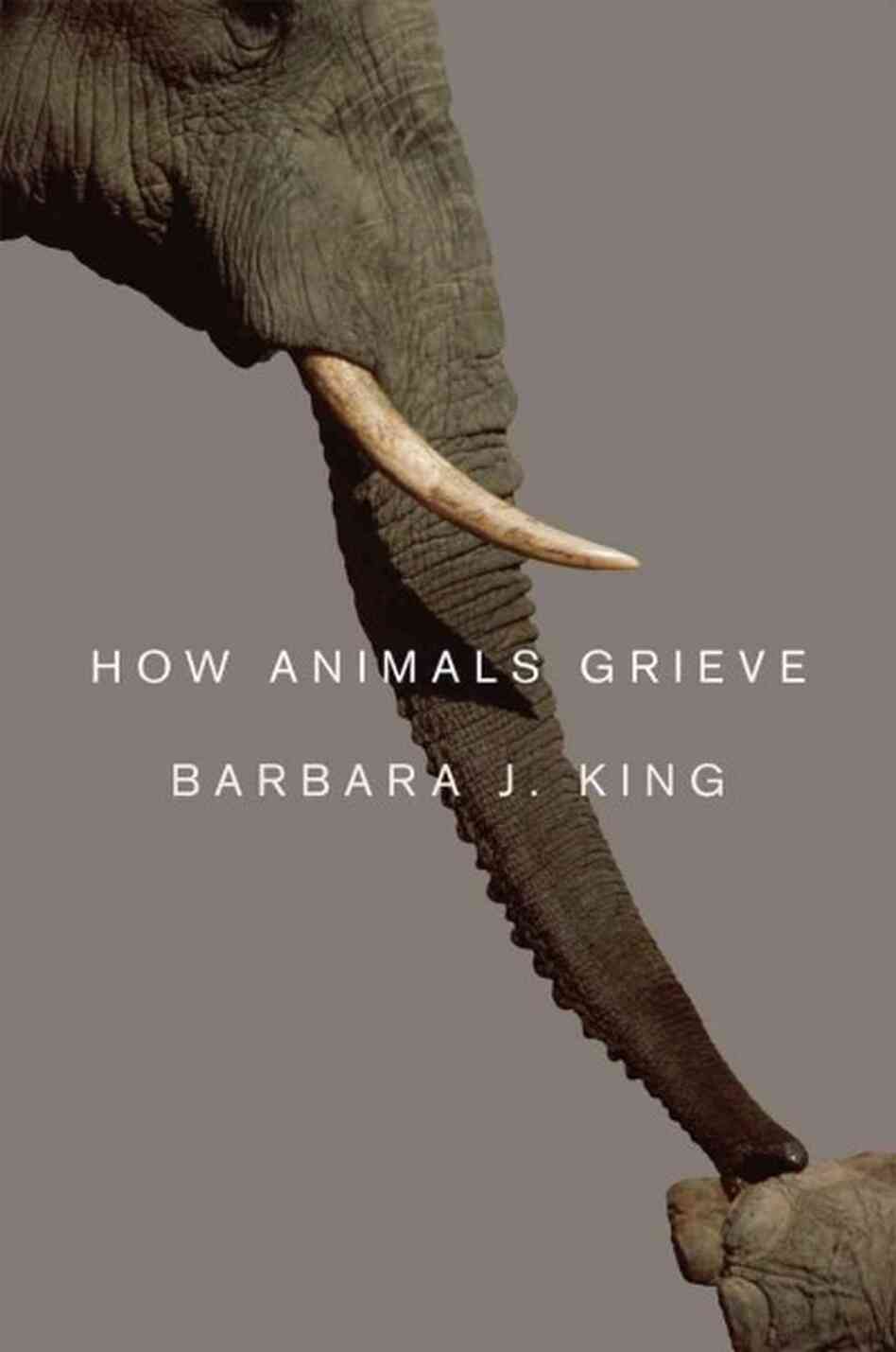 How Animals Grieve How Animals Grieve