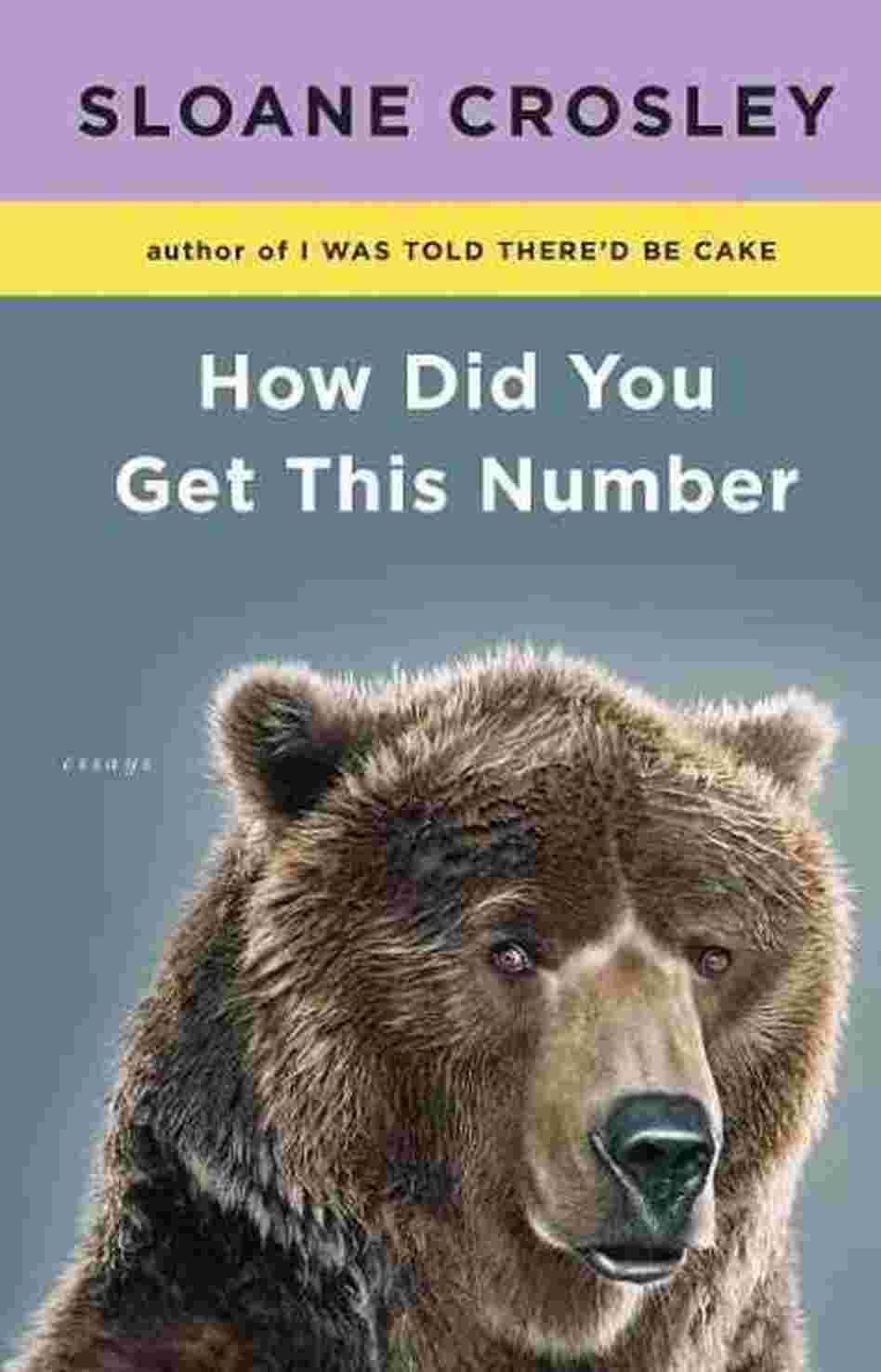 How Did You Get This Number How Did You Get This Number