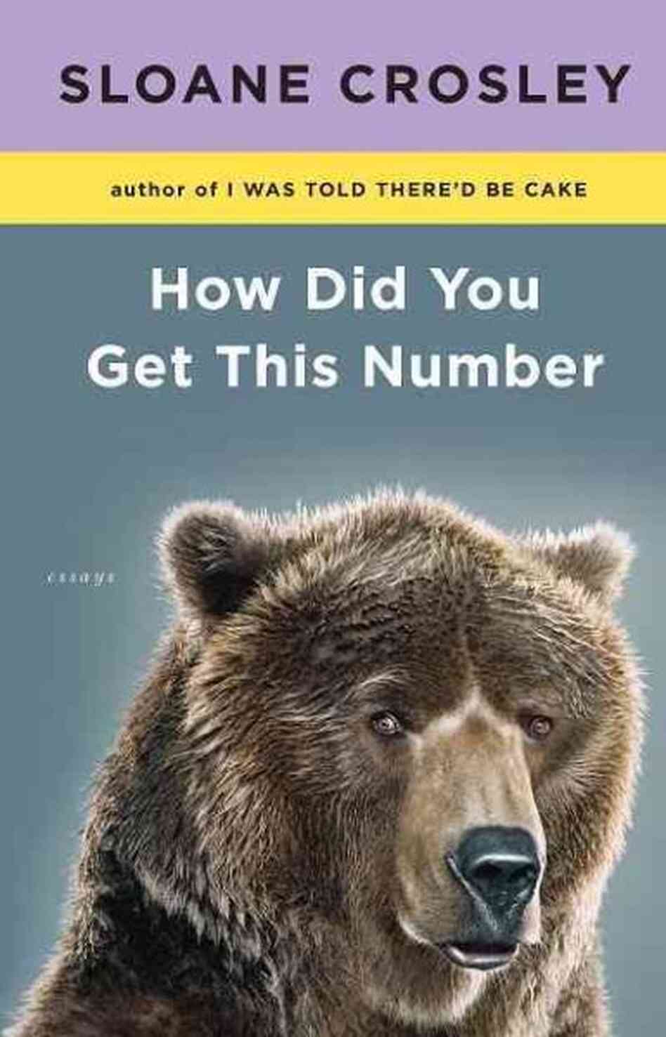 How Did You Get This Number How Did You Get This Number