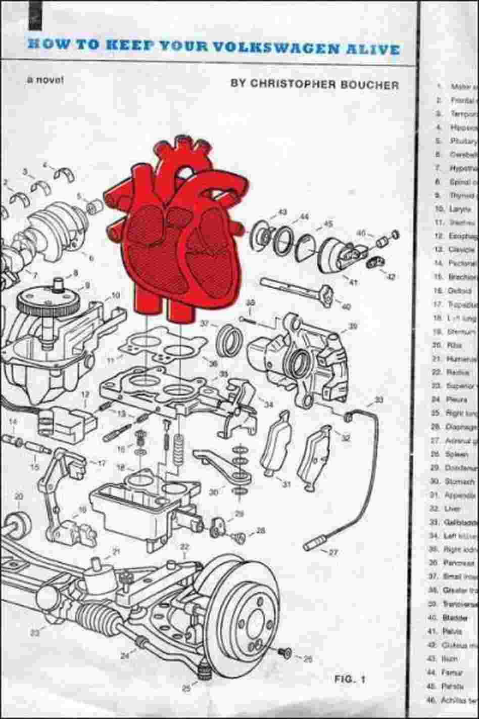 How to Keep Your Volkswagen Alive How to Keep Your Volkswagen Alive
