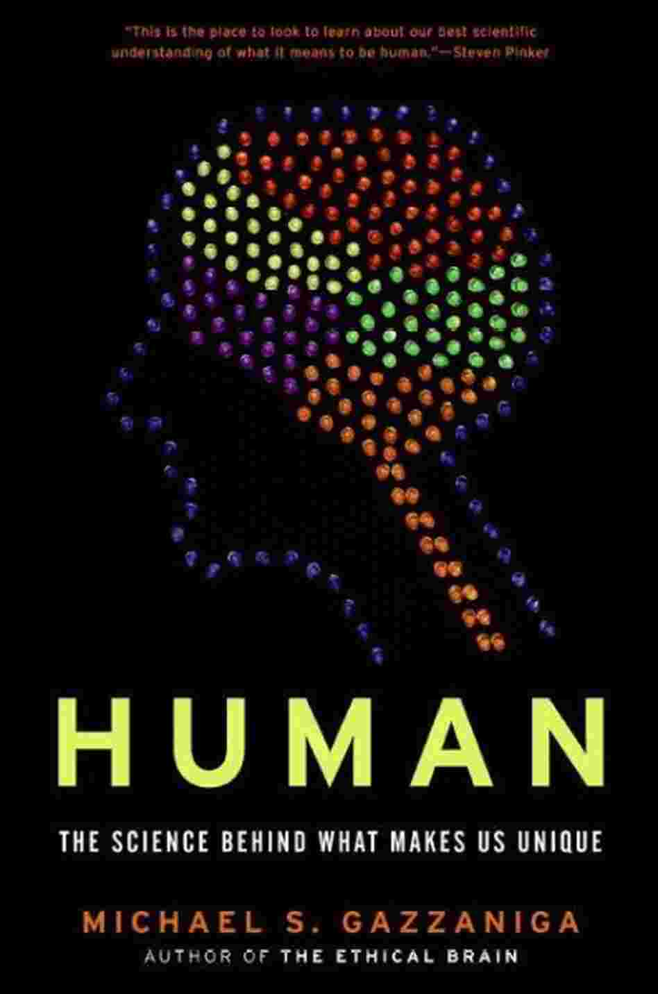Human Human