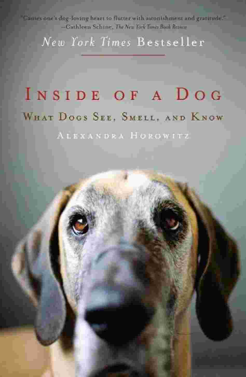 Inside of a Dog Inside of a Dog
