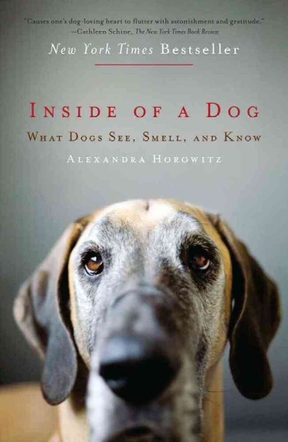 Inside of a Dog Inside of a Dog