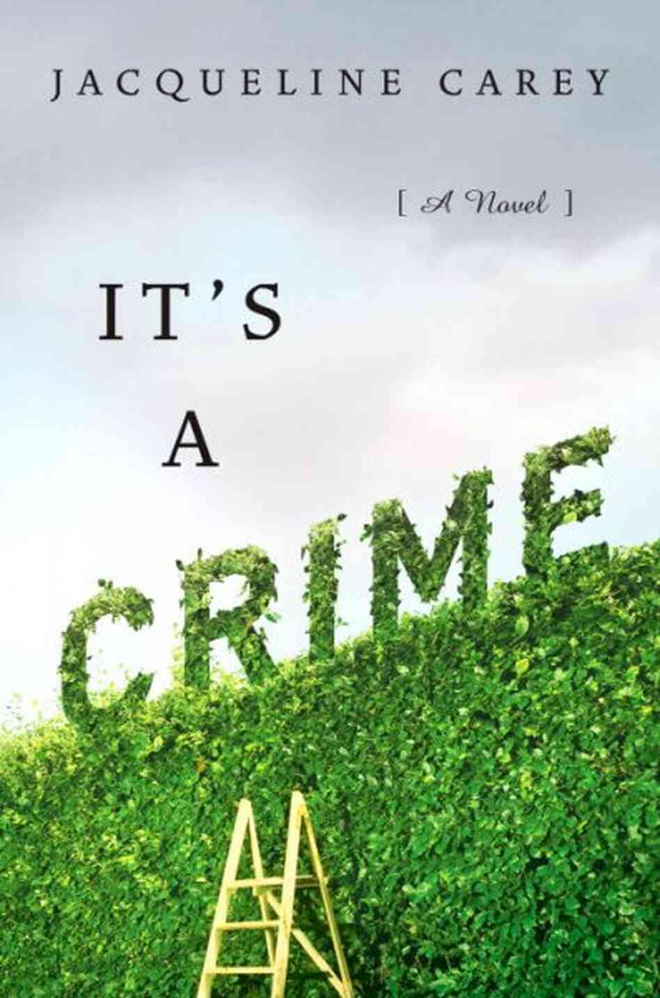 It's a Crime It's a Crime