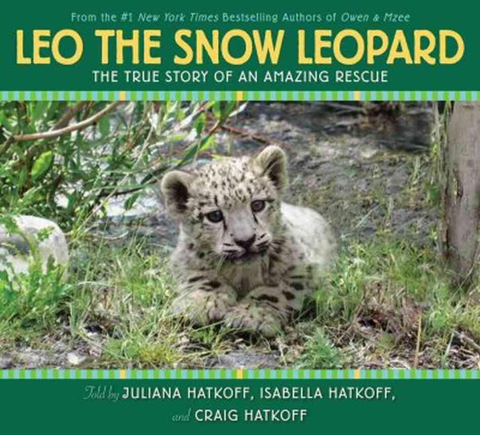 Leo the Snow Leopard