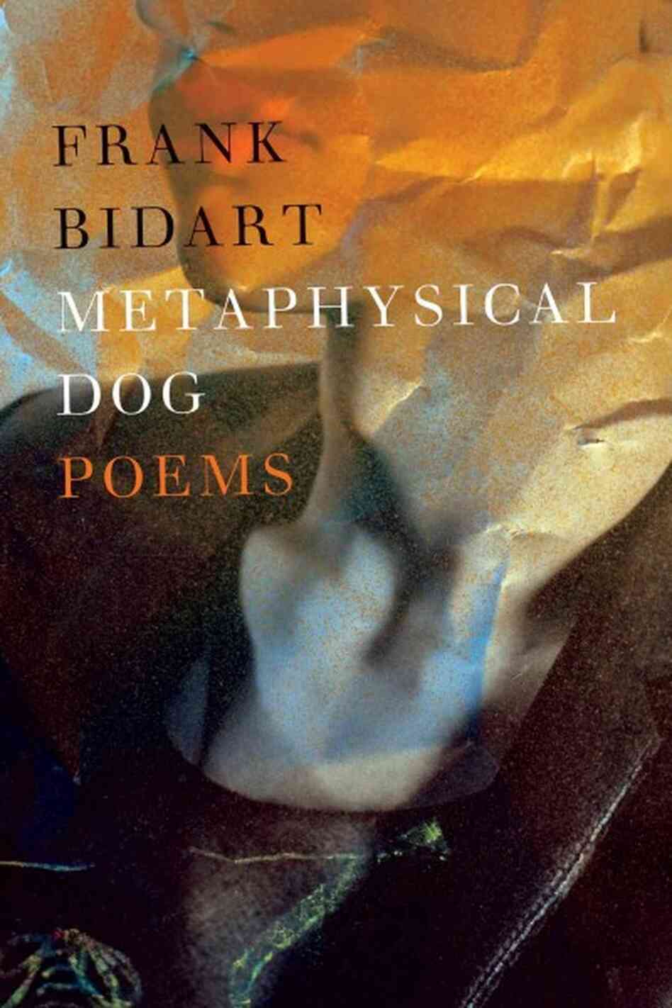 Metaphysical Dog Metaphysical Dog