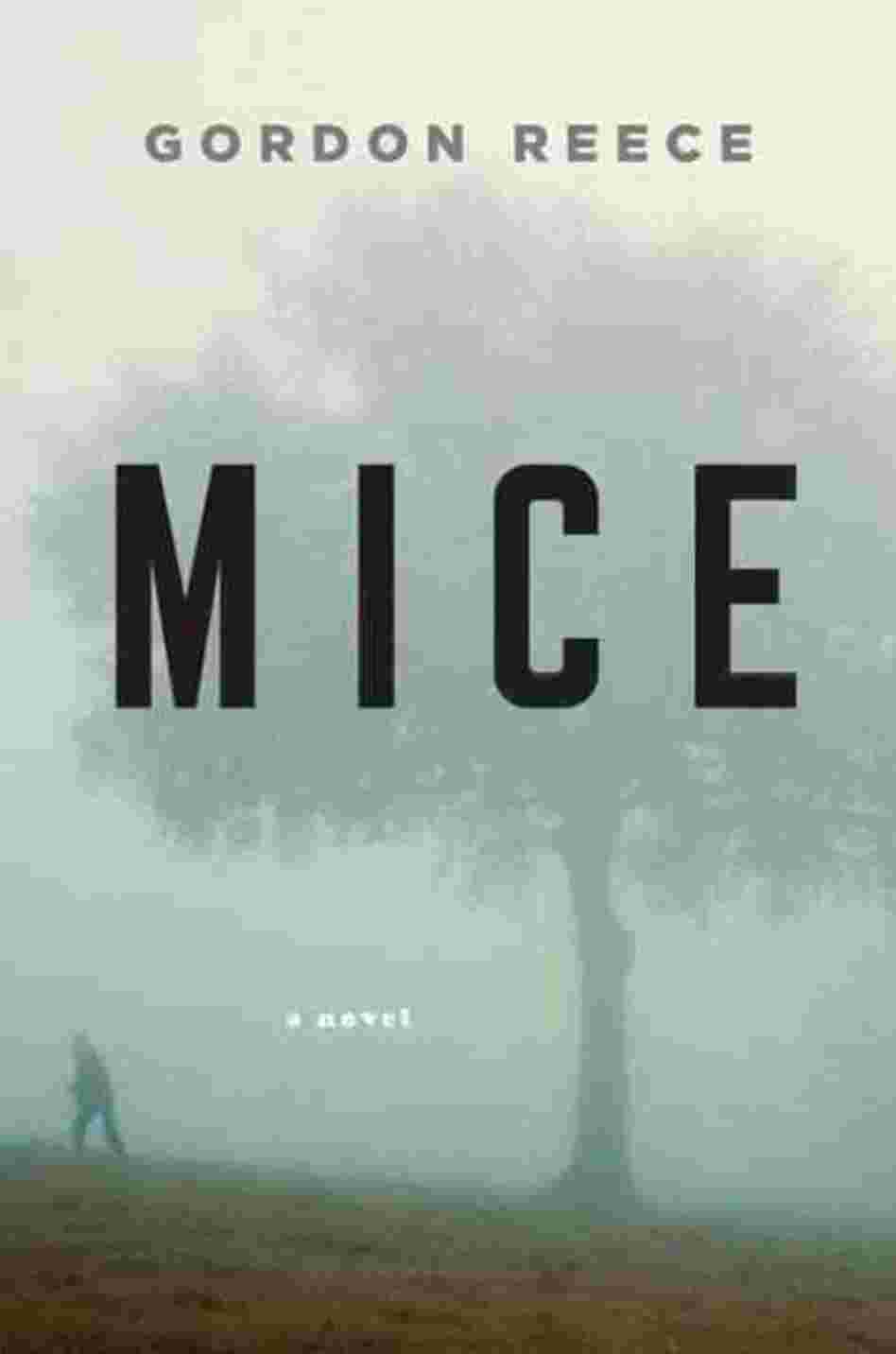 Mice Mice