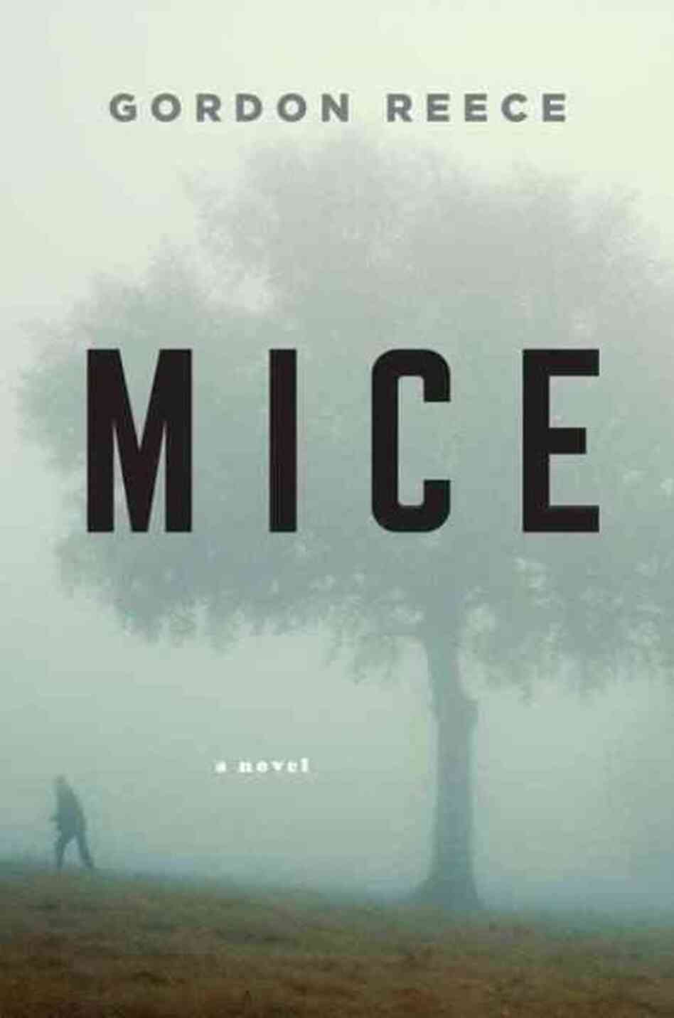 Mice Mice