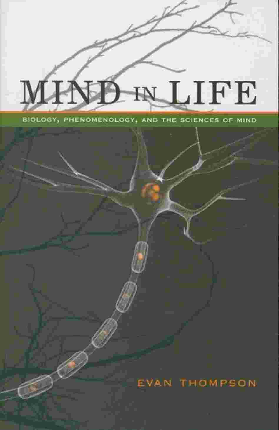 Mind in Life