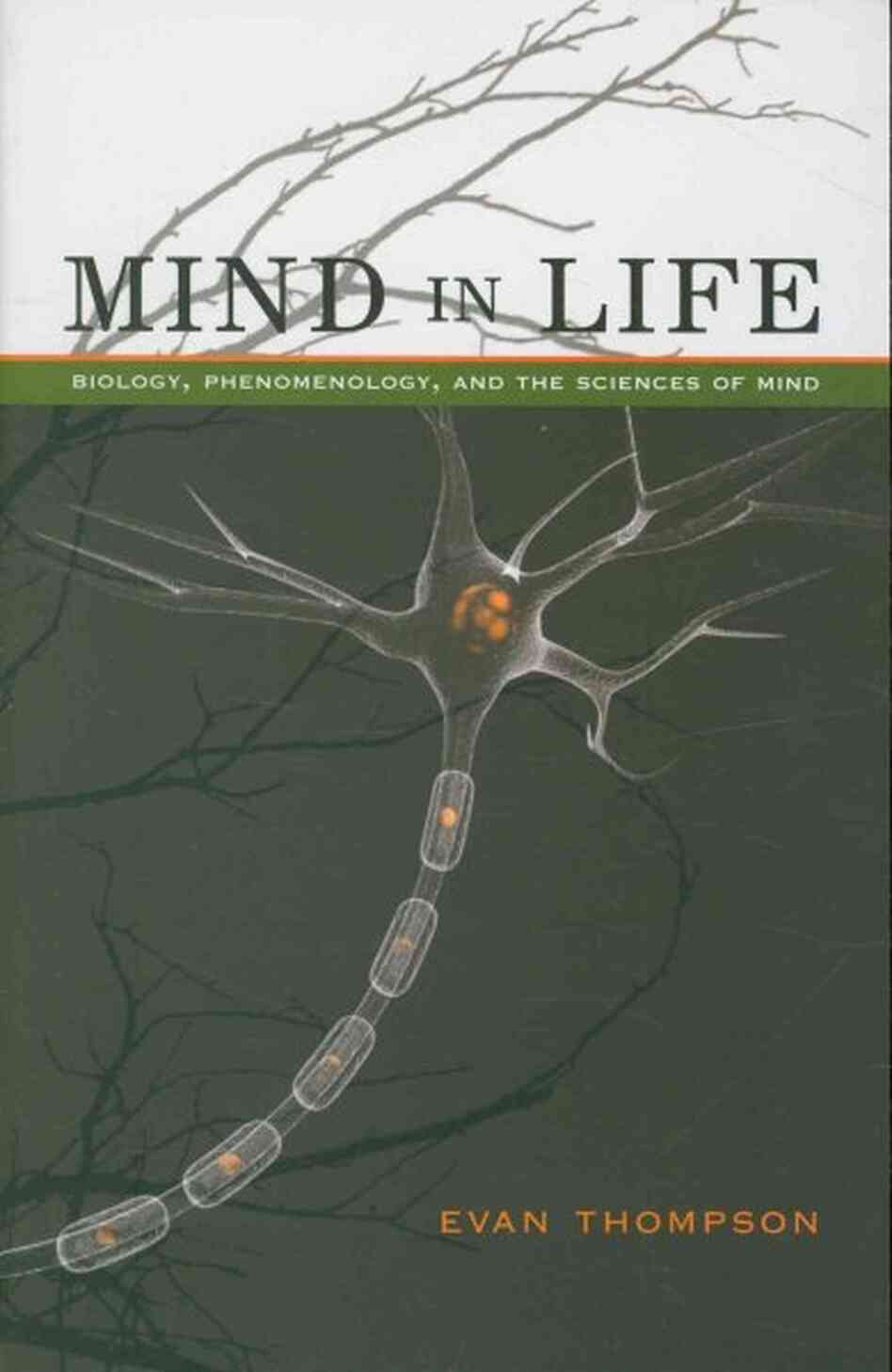 Mind in Life Mind in Life