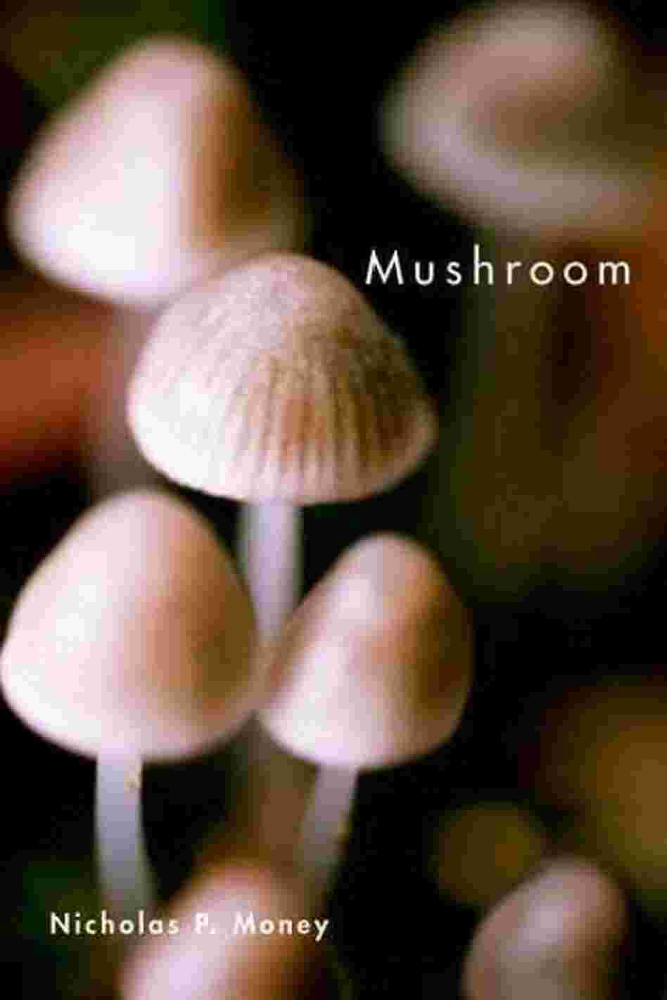 Mushroom Mushroom