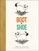 Boot & Shoe cover Boot & Shoe cover