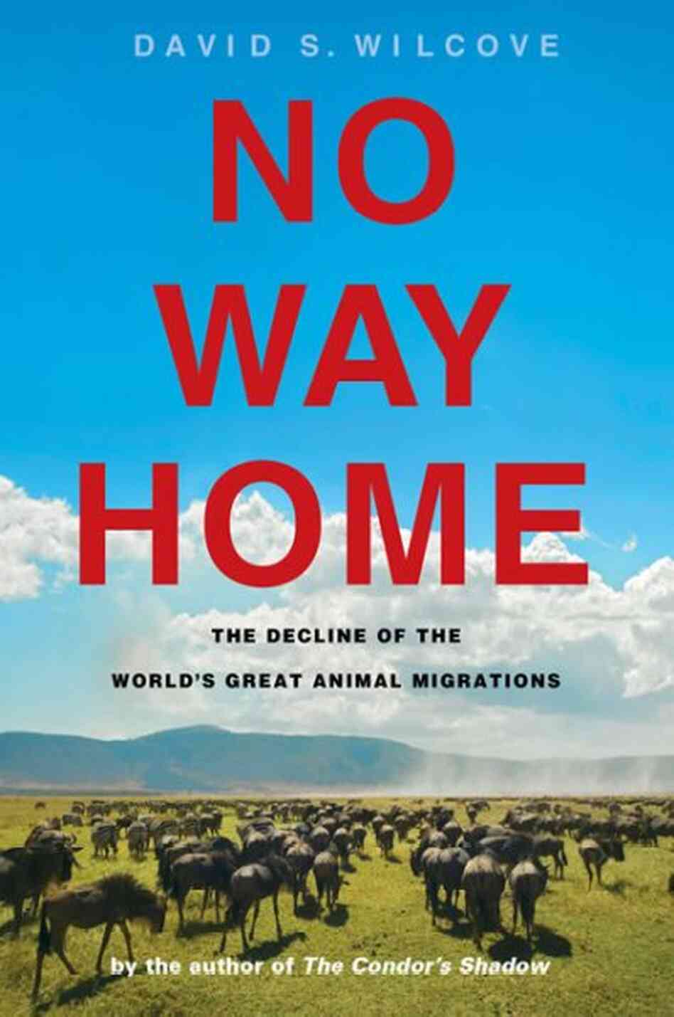 No Way Home No Way Home