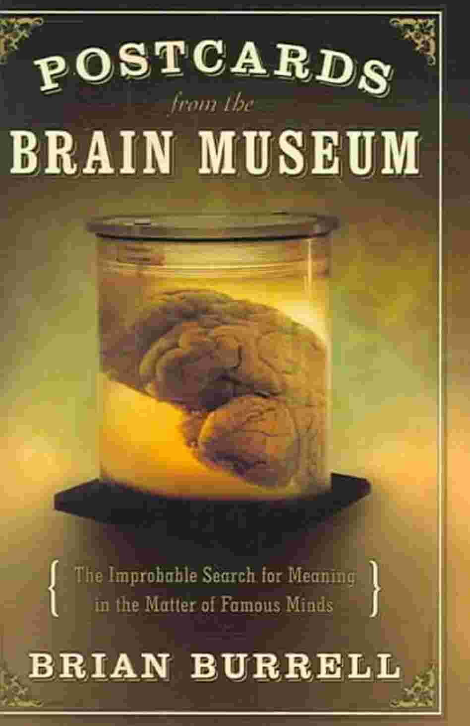Postcards from the Brain Museum