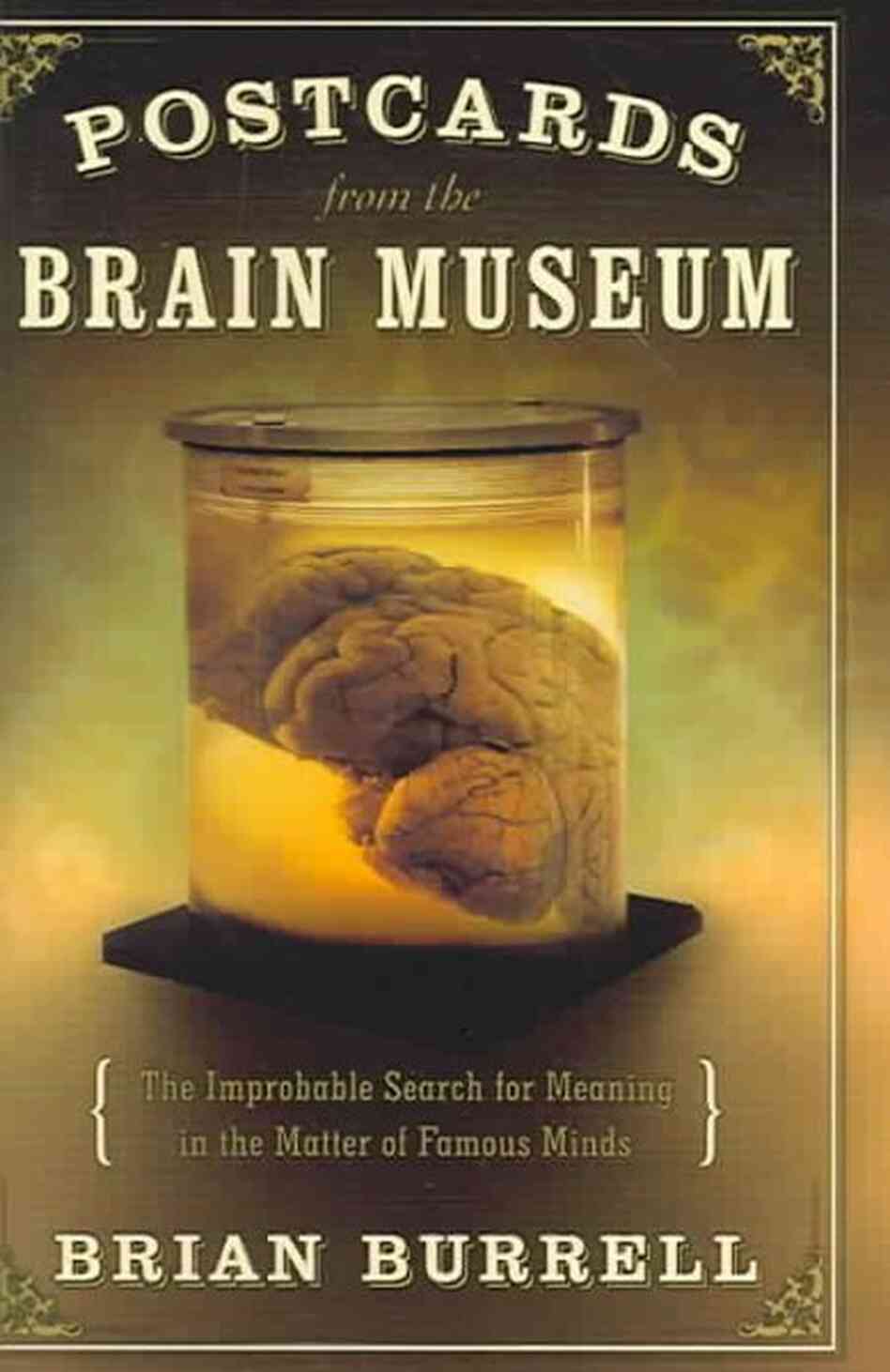 Postcards from the Brain Museum