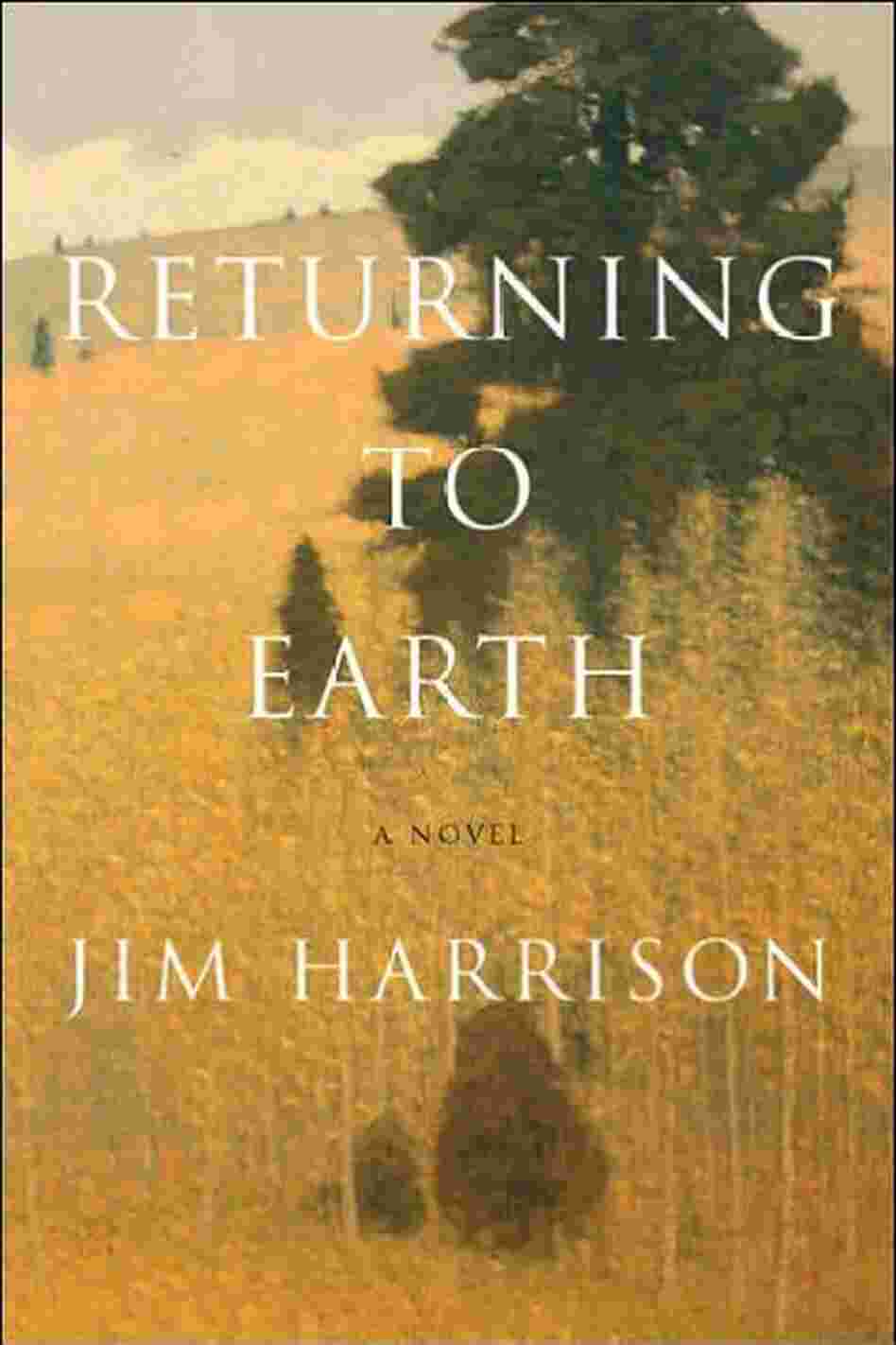 Returning to Earth Returning to Earth