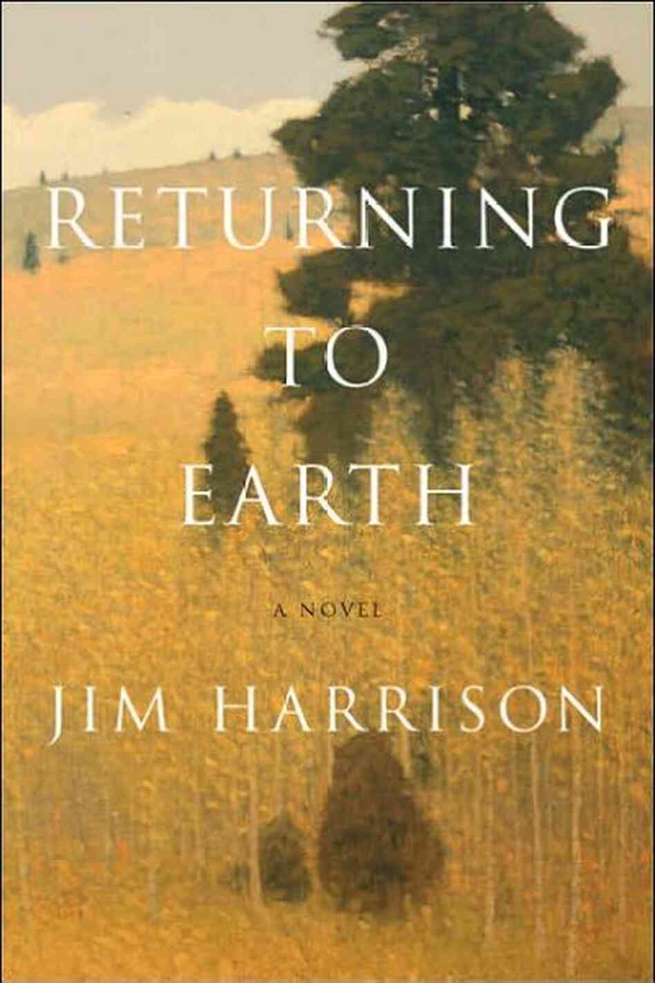 Returning to Earth Returning to Earth